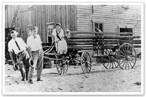 photo: Sarasota County's Horse and Buggy Days