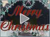 Christmas Time In Florida