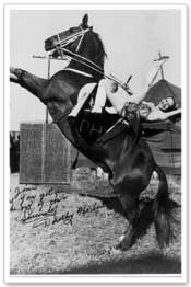 Dorothy Herbert, and horse