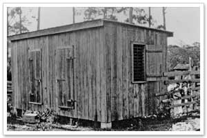 Sarasota History - Land Emerged as Prime Real Estate photo